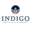 Indigo ketenlogo